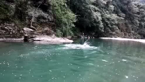 美妙森林找不同